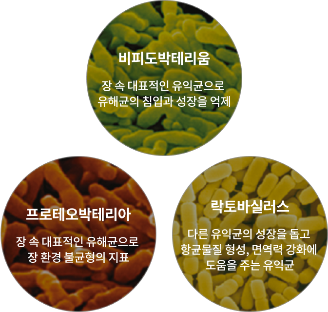 유익균 지수와 유해균 지수